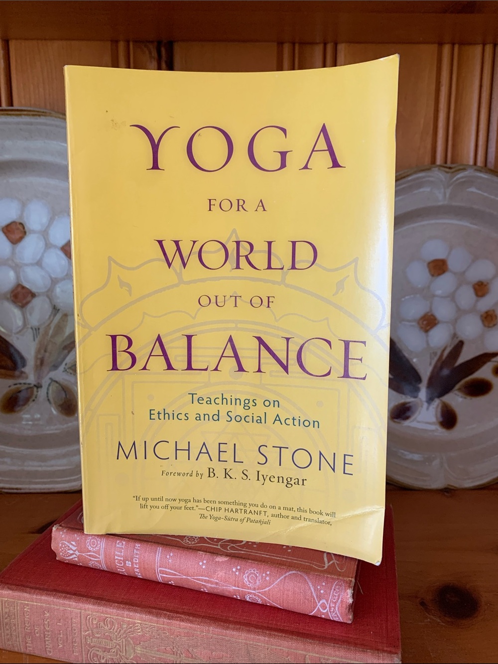 Book- Yoga for a World out of Balance
